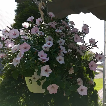 Jutrzenka * Spytkowice (Wadowice)